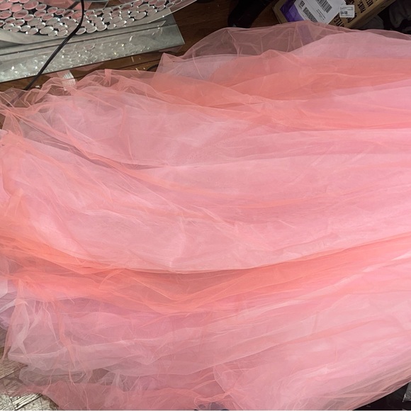 Pink jewel corset prom and wedding dress - Picture 4 of 6